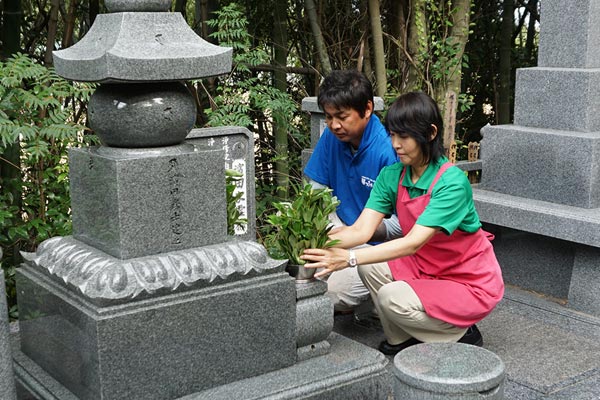 お花・しきみのお供え、お線香